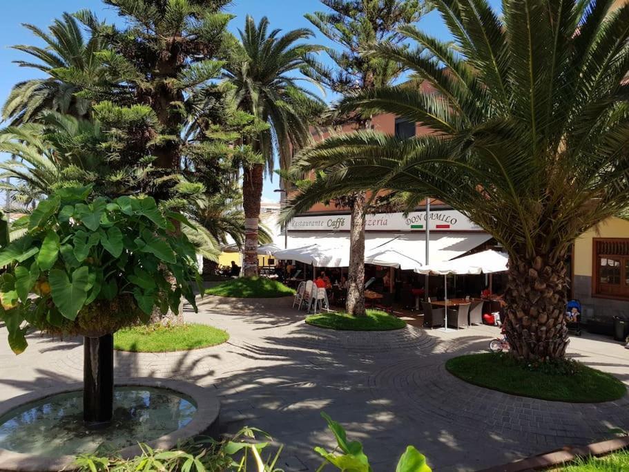 Miranda Penthouse Ai With Free Parking Lägenhet Puerto de la Cruz  Exteriör bild